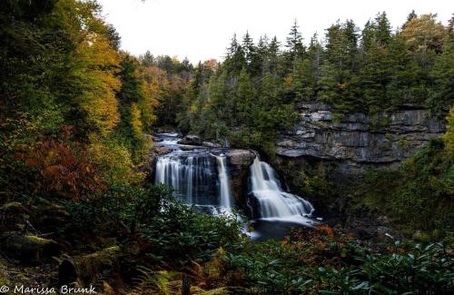 Allegheny Mountains Maison | Cabin in the woods w/WIFI close to Monongahela National Forest