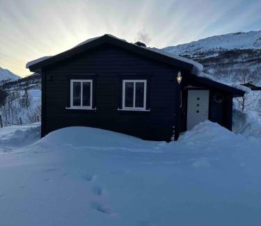 Odda Maison | Cabin in Valldalen, Røldal