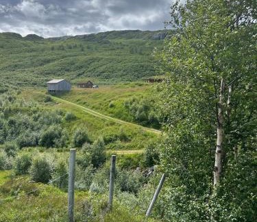 Odda Maison | Cabin in Valldalen, Røldal