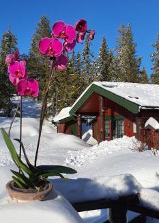 Sndre Land Autre | Cabin Room on DaVita Ranch