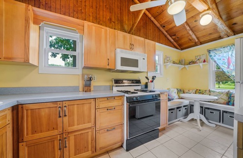 Clarklake Cabine | Cabin, rustic elegance w/ hot tub, lake access