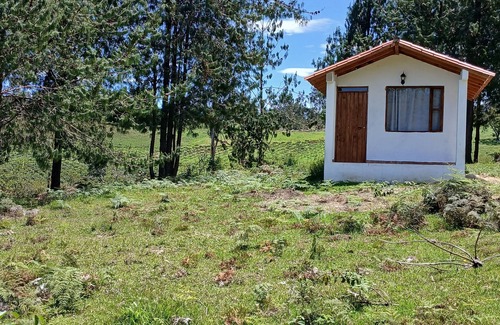 Arcabuco Cabine | cabin surrounded by nature