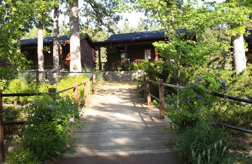Tulsa Cabine | Cabin with a view #8