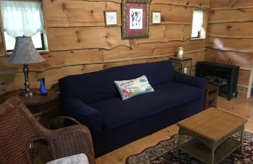 Trumansburg Cabine | Cabine avec vue sur le lac et accès à la plage!