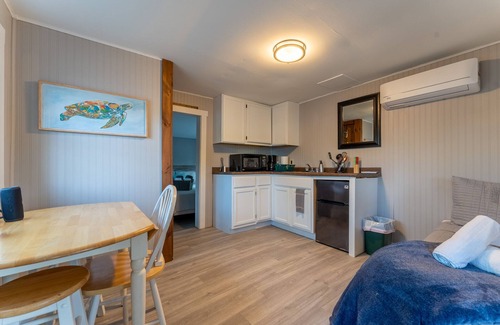 Alton Bay Cabine | Cabin with lake views & lake access Now featuring AC Wi-FI and TV sleeps 5