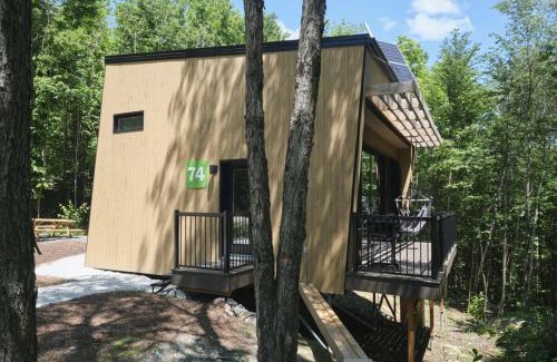 Eastman Maison | Cabin Zoobox 74