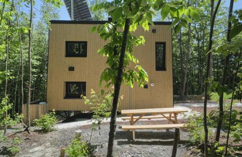 Eastman Maison | Cabin Zoobox 74