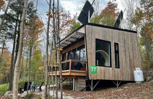 Eastman Maison | Cabin Zoobox 77