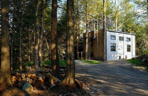 Eastman Maison | Cabin Zoobox 84