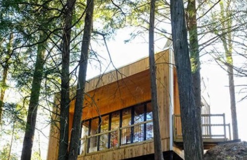 Eastman Cabine | Cabin Zoobox 84 Summa