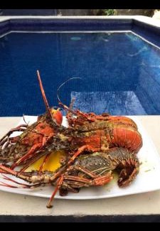Puntarenas Appartement | Cabina con Piscina