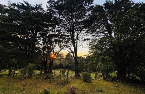 Sierra Appartement | Cabina de las Hojas Monteverde