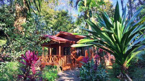 Uvita Cabine | Cabinas Costa Tropicana