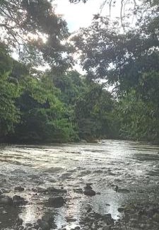 Cabuya Appartement | Cabinas Guacamaya