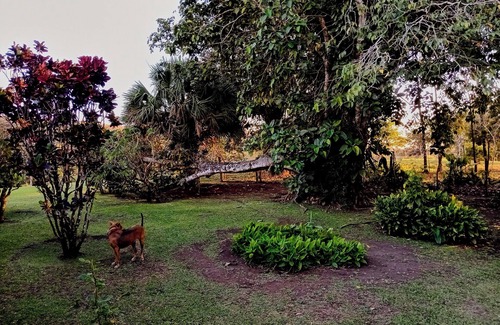 Tilaran Cabine | Cabinas Heide #3 Peace and Tranquility
