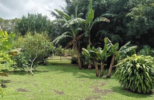 Tilaran Cabine | Cabinas Heide #3 Peace and Tranquility