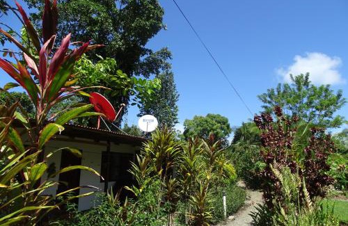 Cahuita Cabine | Cabinas Los Tucanes