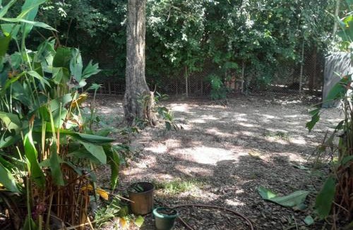 Playa Grande Appartement | Cabinas Playa Grande