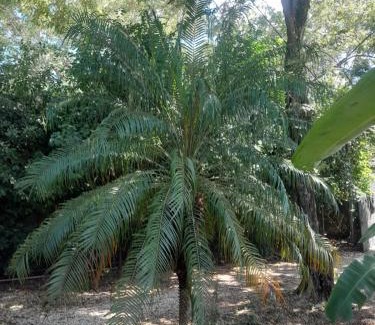Playa Grande Appartement | Cabinas Playa Grande