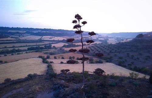 Granyena de Segarra Maison | Cal Rei