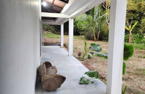 Mamatoco Cabine | CALABAZO Casa MonoCai 500 meters from the entrance to Tayrona Park.