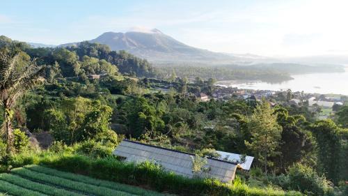 Kedisan Cabine | Calidas Hill