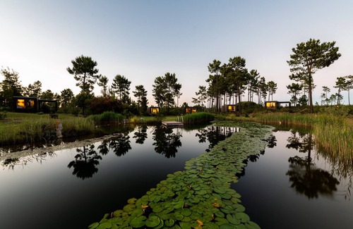 Alcacer do Sal Maison | Calm and comfort in Nature - Suite