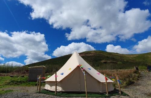 Llandovery Autre | Calon Y Goedwig Glamping