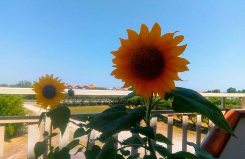 Marina di Montenero Maison | Camera doppia in affitto con bagno privato