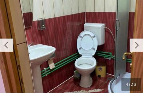 Viseu de Sus Maison | Camere de închiriat Floarea Reginei