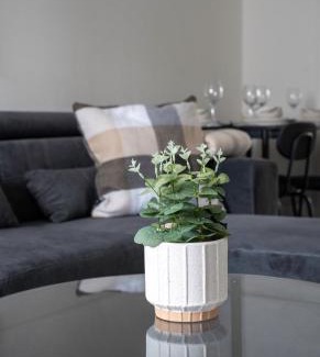 Larkhall Maison | Camneth House