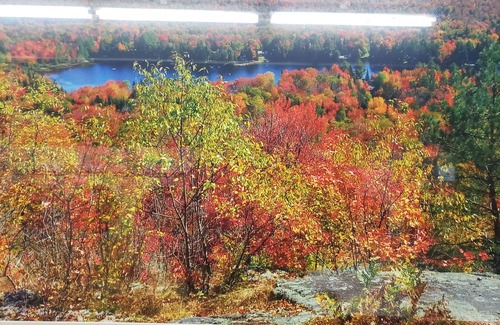 Old Forge Maison | Camp Balsam Old Adirondack camp