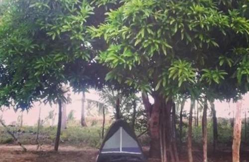 Itacimirim Autre | Camp do Riso