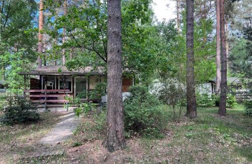 Bad Schmiedeberg Maison | Camp Koose