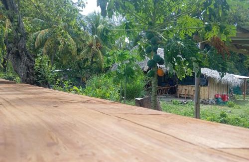 Altagracia Autre | Camp