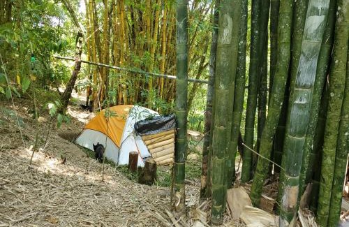 Cuetzalan del Progreso Autre | Campamento equipado de bosque