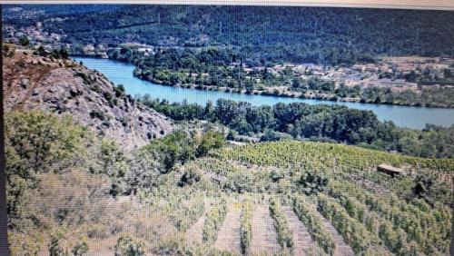 Condrieu Autre | Camping à Condrieu, Mobil home 6 pers sur les bords du Rhône, avec parc aquatique
