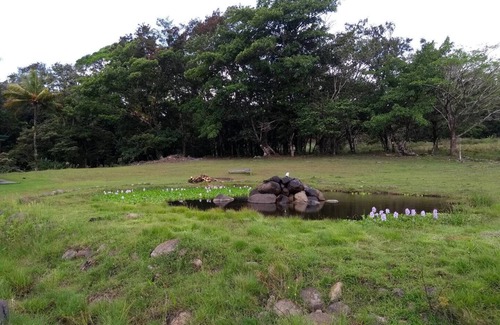 Tierras Morenas Location De VR | Camping and parking area for your motor home 4