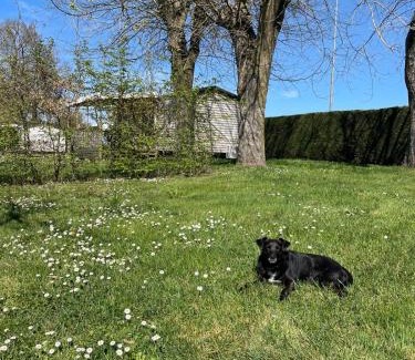 Gracay Autre | Camping de Graçay