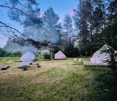 Przywidz Autre | Camping Ekologiczny Koziołeczek