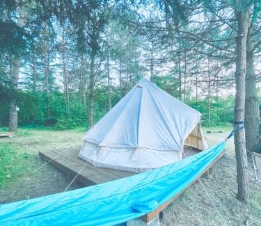 Przywidz Autre | Camping Ekologiczny Koziołeczek