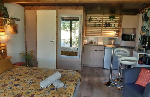 Senergues Autre | Camping Etang Du Camp