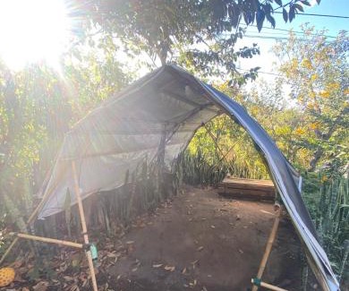 Vale do Capao Autre | Camping Filhos da Floresta - Vale do Capão