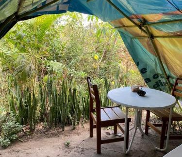 Vale do Capao Autre | Camping Filhos da Floresta - Vale do Capão