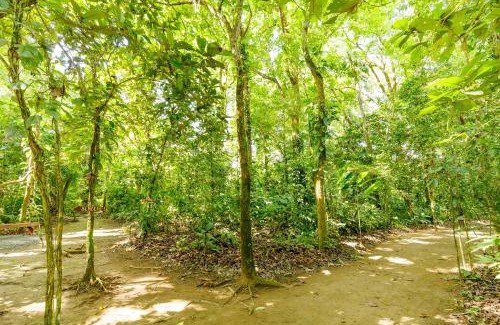 Londres Autre | Camping Finca Planeta Sano