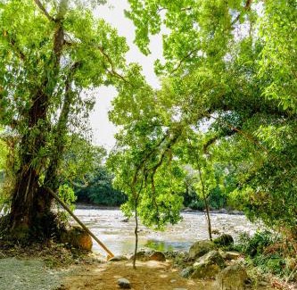 Londres Autre | Camping Finca Planeta Sano