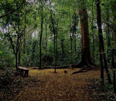 Londres Autre | Camping Finca Planeta Sano
