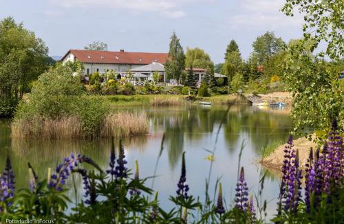 Grodziszcze Autre | Camping Forteca, parcele kempingowe nad wodą, z własnym namiotem lub przyczepą