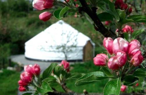 Drumkeeran Autre | Camping ∙ 1 chambre ∙ 5 personnes