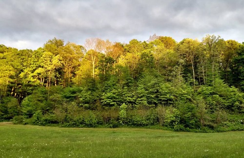 McArthur Location De VR | Camping dans les Hocking Hills à la ferme d'Altenbrauch